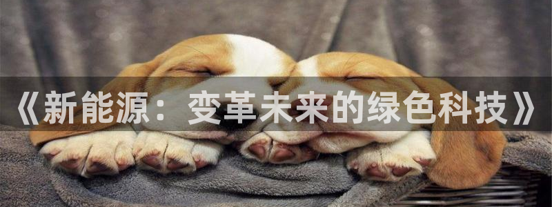 门徒娱乐圈主管
