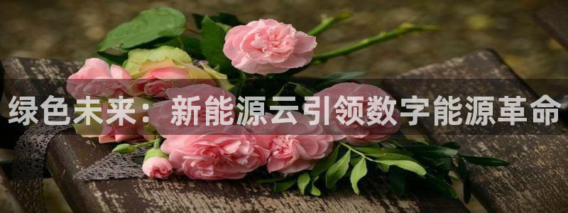 拉菲9门徒娱乐平台代理