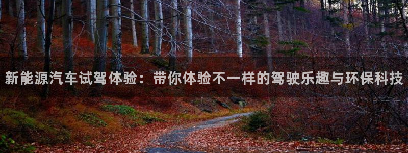 门徒娱乐怎么挂机