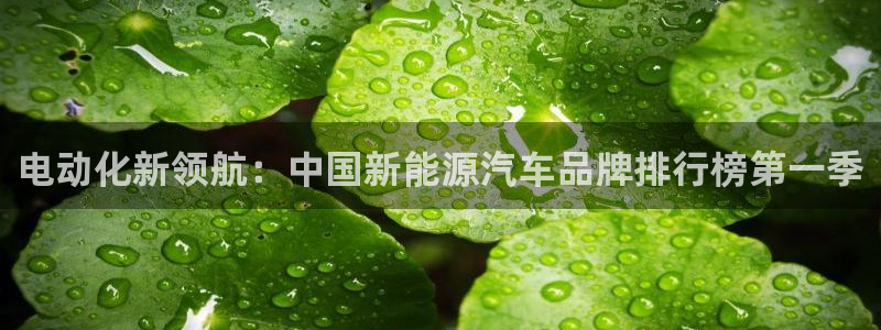 门徒娱乐项目有哪些：电动化新领航：中国新