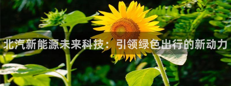 门徒娱乐平台安全吗知乎
