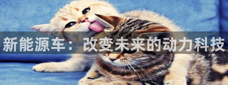门徒娱乐右5指尖