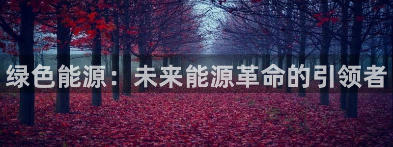 门徒娱乐用户评价与反馈：绿色能源：未来能